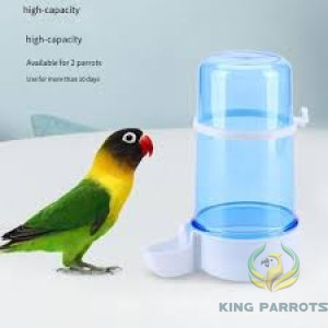 Bird Big Water Drinker Feeder