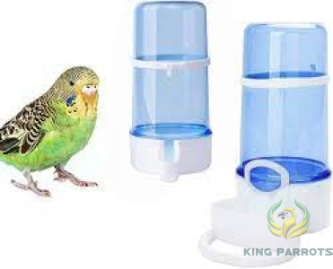Bird Small Water Drinker Feeder